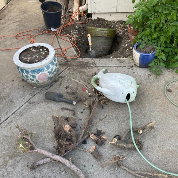 Nothing - Picture 1 of 1